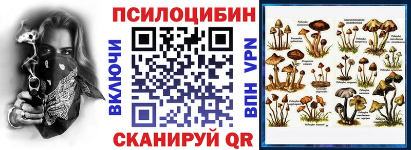 Галлюциногенные грибы MAGIC MUSHROOMS Купить закладки Элиста