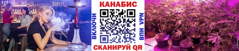 Конопля OG Kush  Купить где  Элиста 